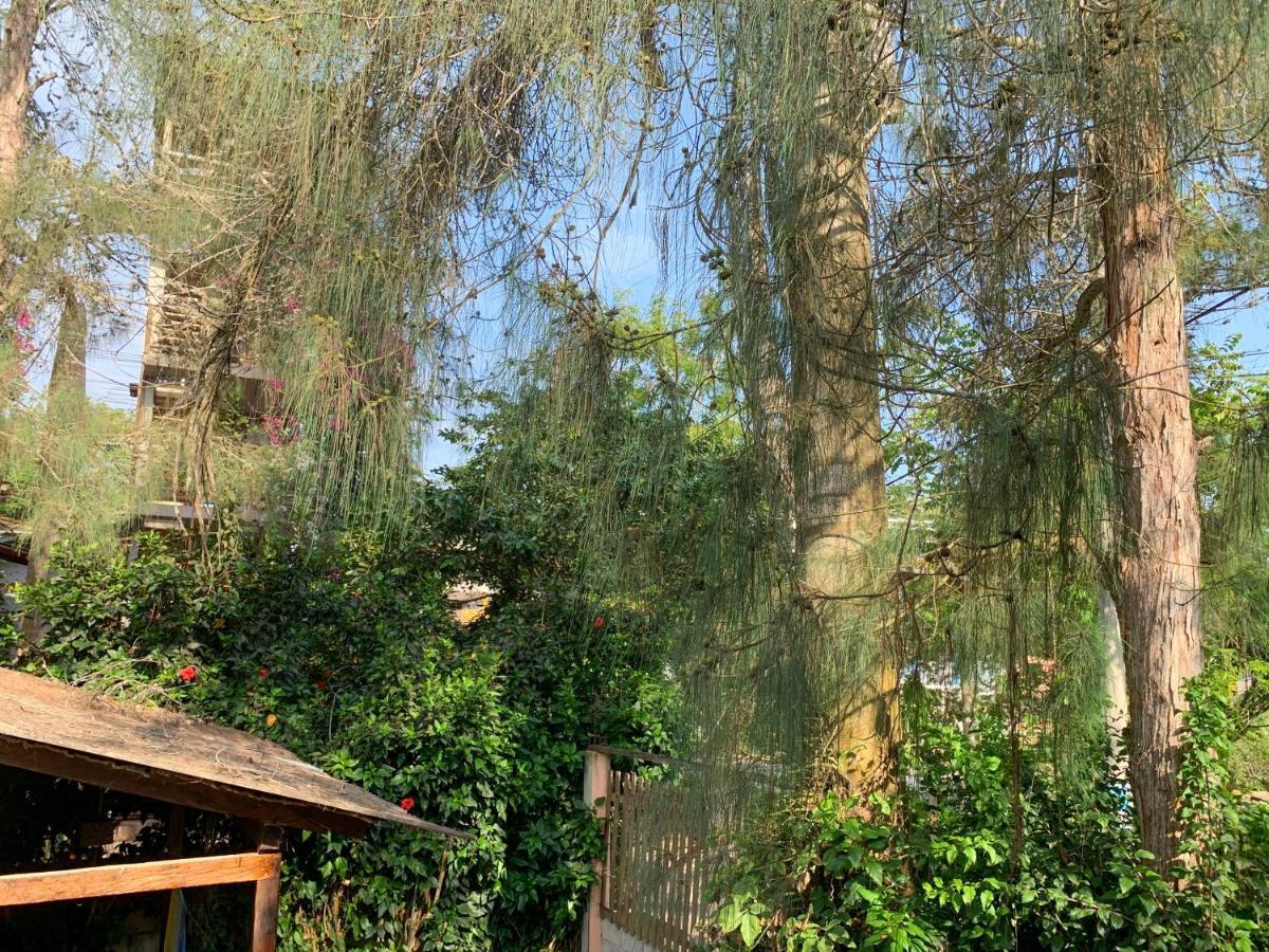 La Posada De Mary Montañita エクステリア 写真